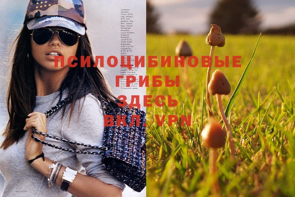 меф Баксан