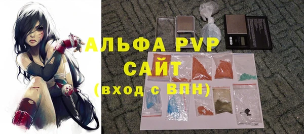 ПСИЛОЦИБИНОВЫЕ ГРИБЫ Козловка